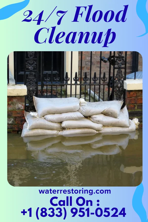 24/7 Flood Cleanup in Shannon, IL