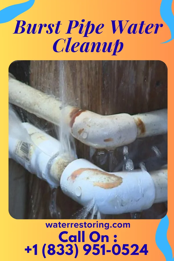 Burst Pipe Water Cleanup in Shannon, IL