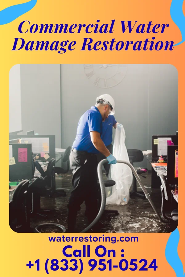 Commercial Water Damage Restoration in Shannon, IL