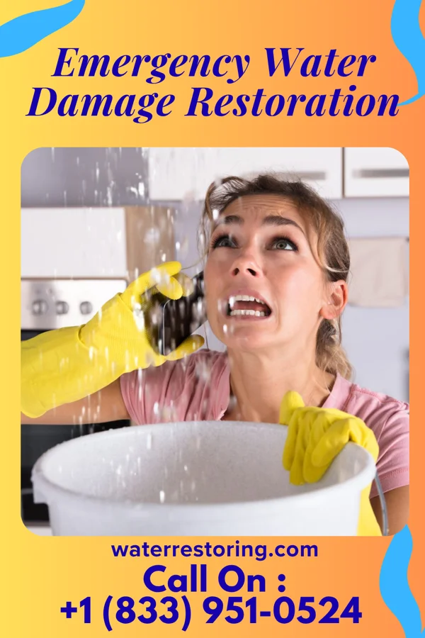 Emergency Water Damage Restoration in Shannon, IL