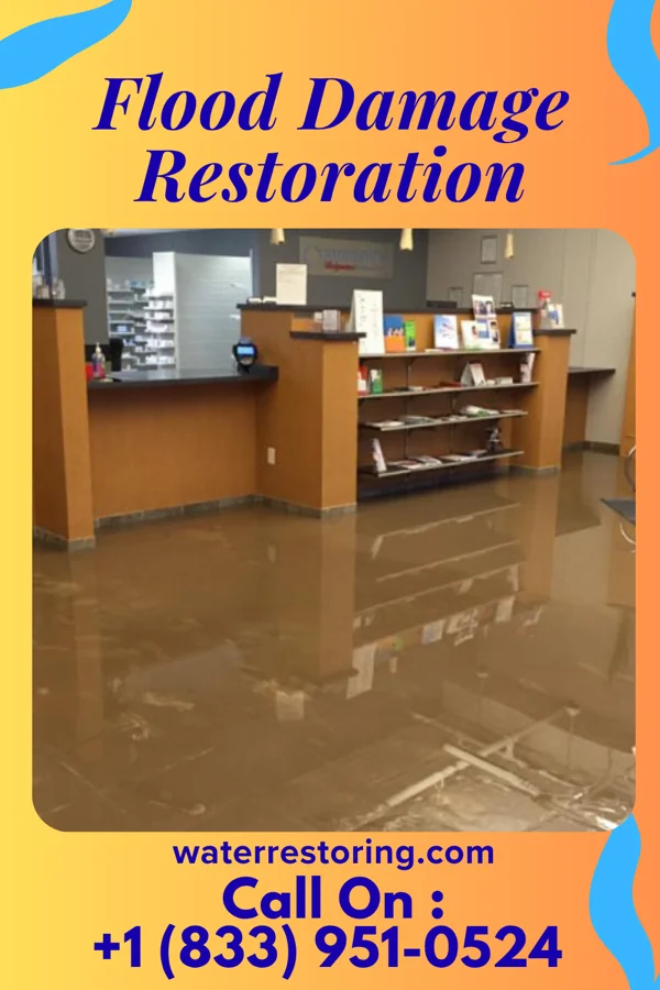 Flood Damage Restoration in Shannon, IL
