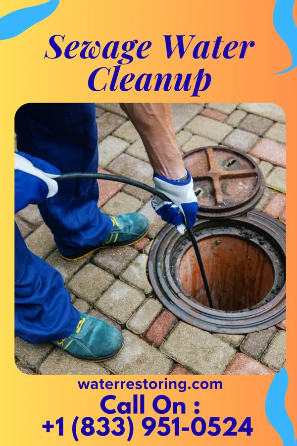 Sewage Water Cleanup in Shannon, IL