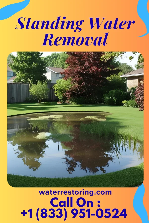 Standing Water Removal in Shannon, IL
